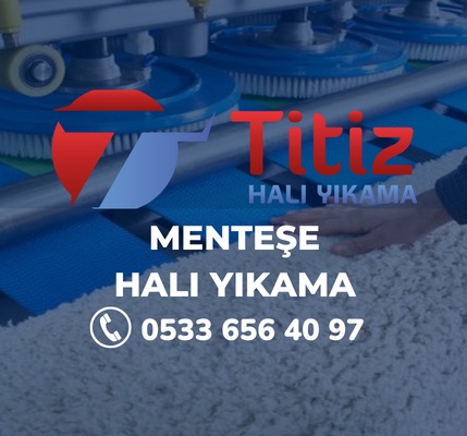 Menteşe Halı Yıkama