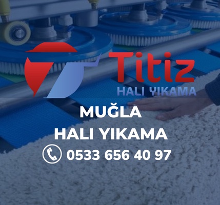 Muğla Halı Yıkama
