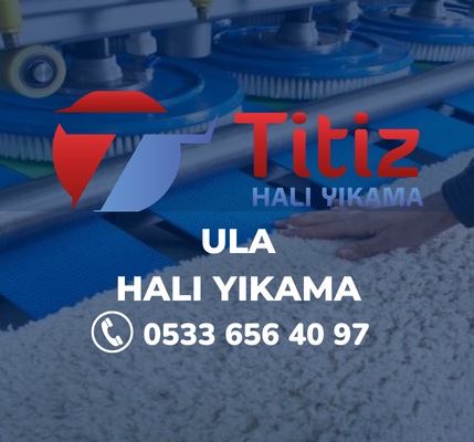 Ula Halı Yıkama